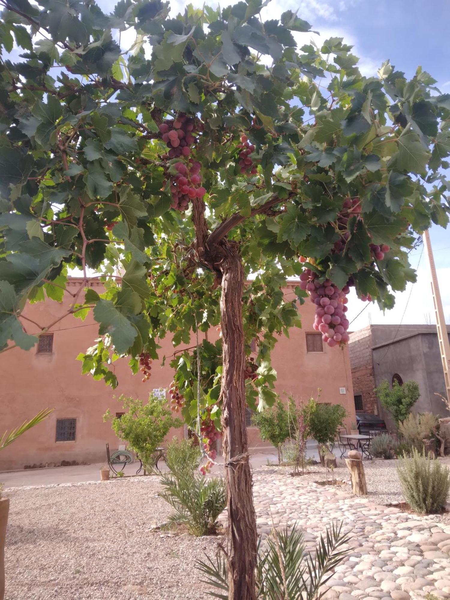 Dar Bilal Hotel Ait Benhaddou Exterior photo